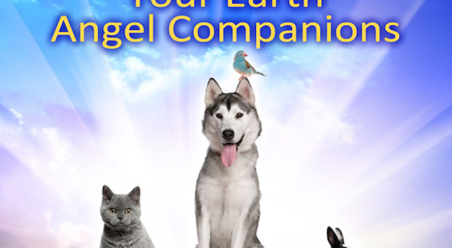 Animal Souls: Your Earth Angel Companions