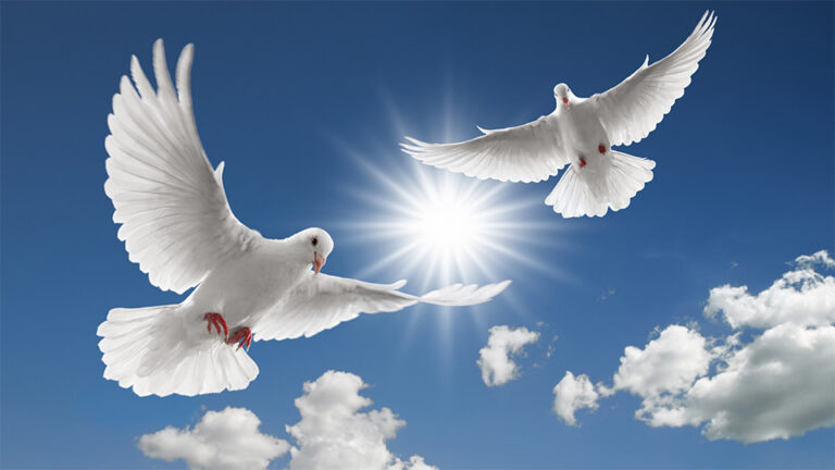 signs from the universe